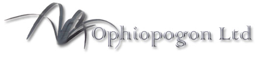 Ophiopogon Ltd